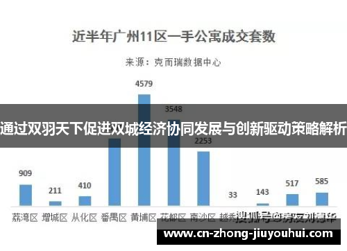 通过双羽天下促进双城经济协同发展与创新驱动策略解析 通过双羽天下促进双城经济协同发展与创新驱动策略解析