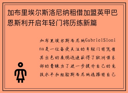 加布里埃尔斯洛尼纳租借加盟英甲巴恩斯利开启年轻门将历练新篇